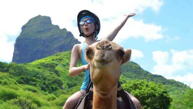 Camel ride at Casela Camel ride at Casela Nature Parks