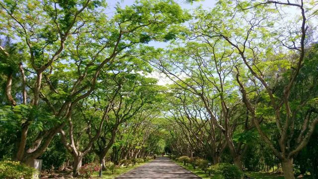 Entrance of Pierrefonds campus Entrance of Pierrefonds campus